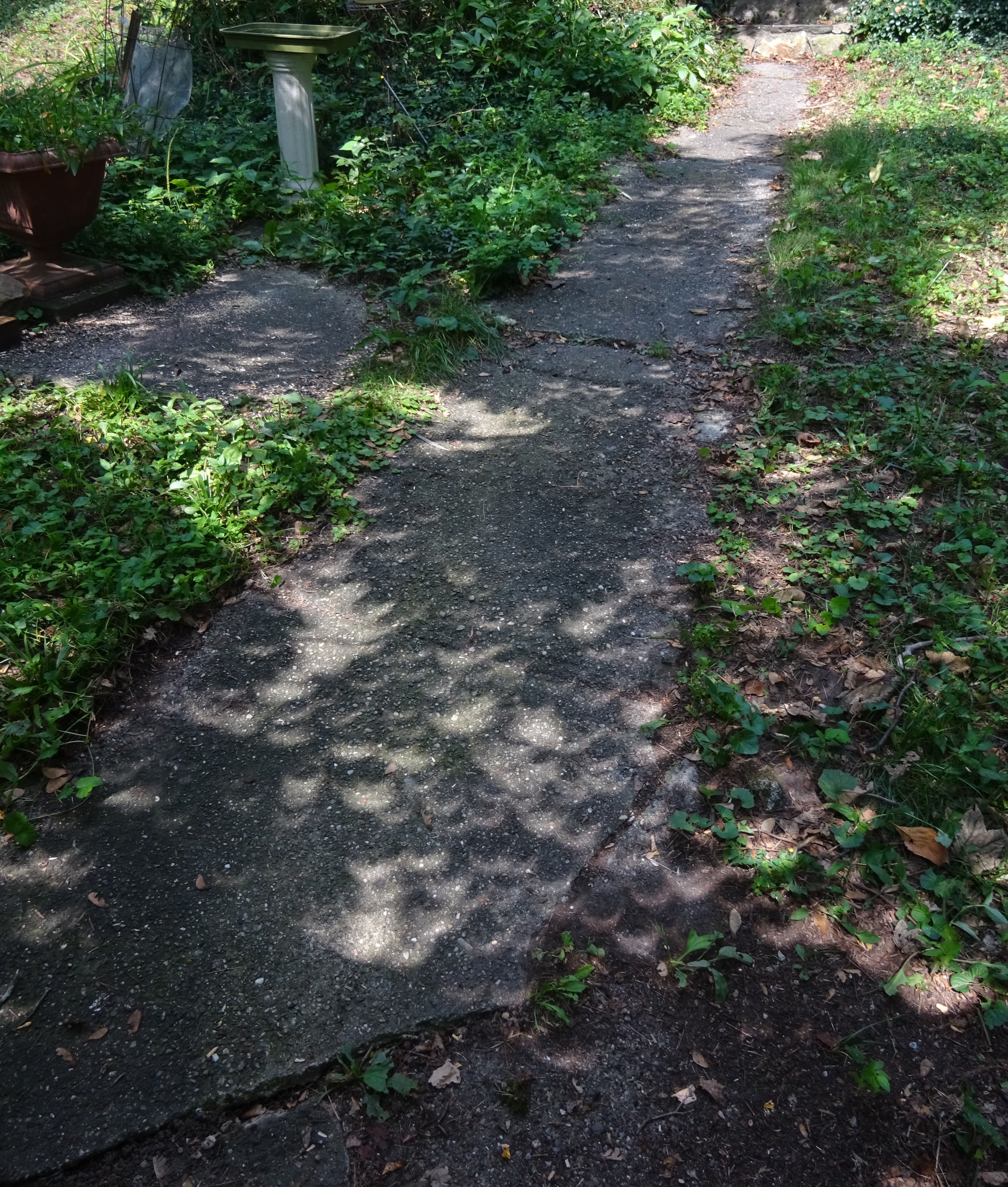 Eclipse sunlight