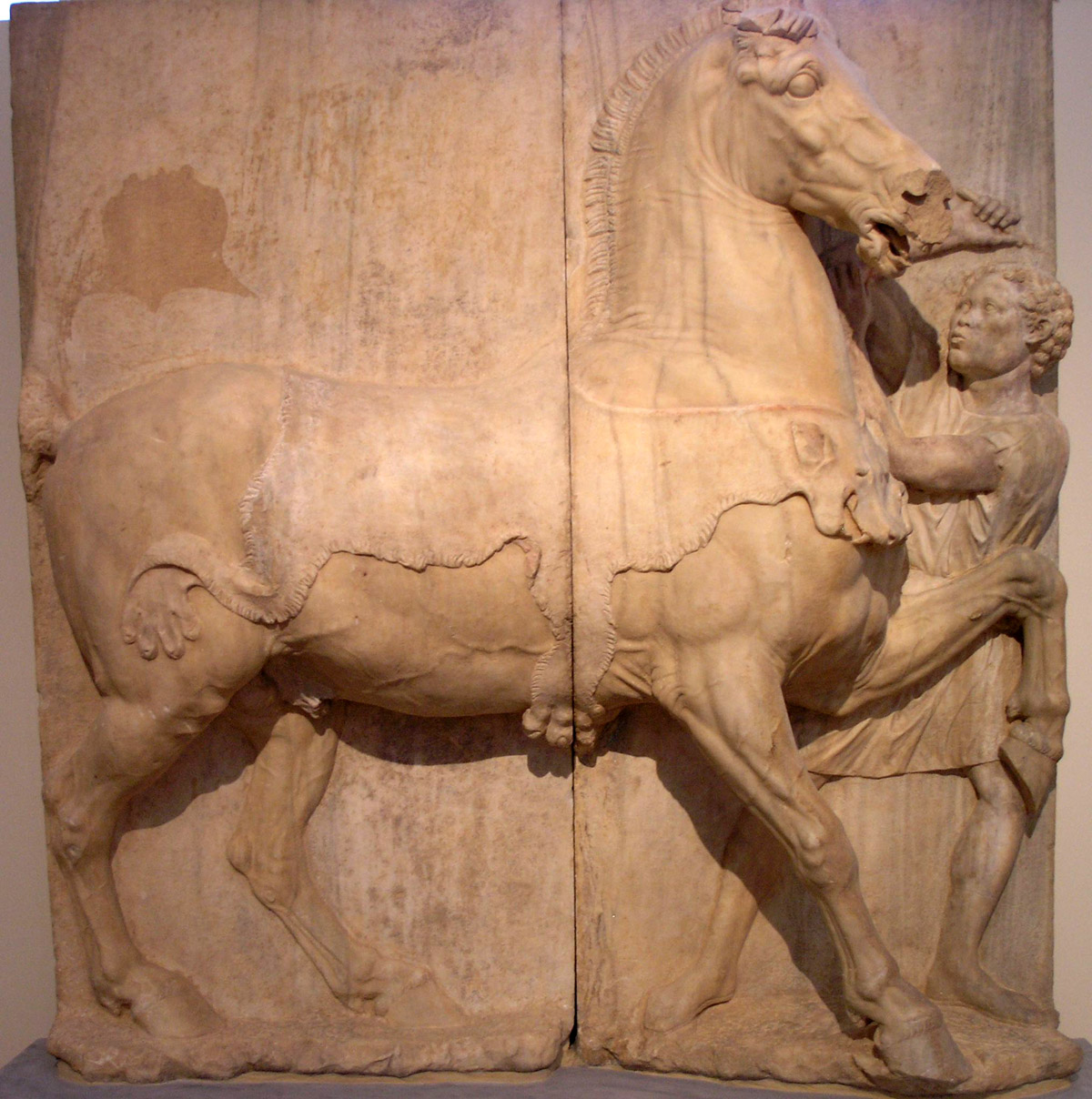 Ethiopian and horse