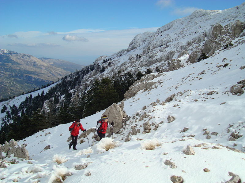 Helicon climbers