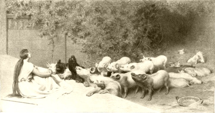 Circe and swine