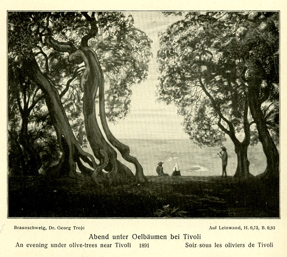 Olive trees near Tivoli