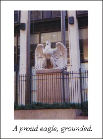 grounded eagle