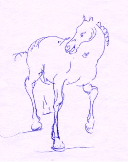 horse looking over his shoulder