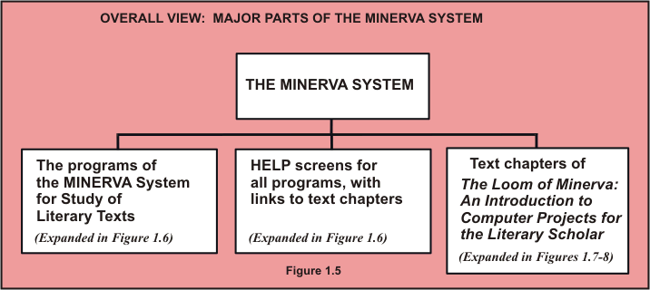 Overall view of MINERVA