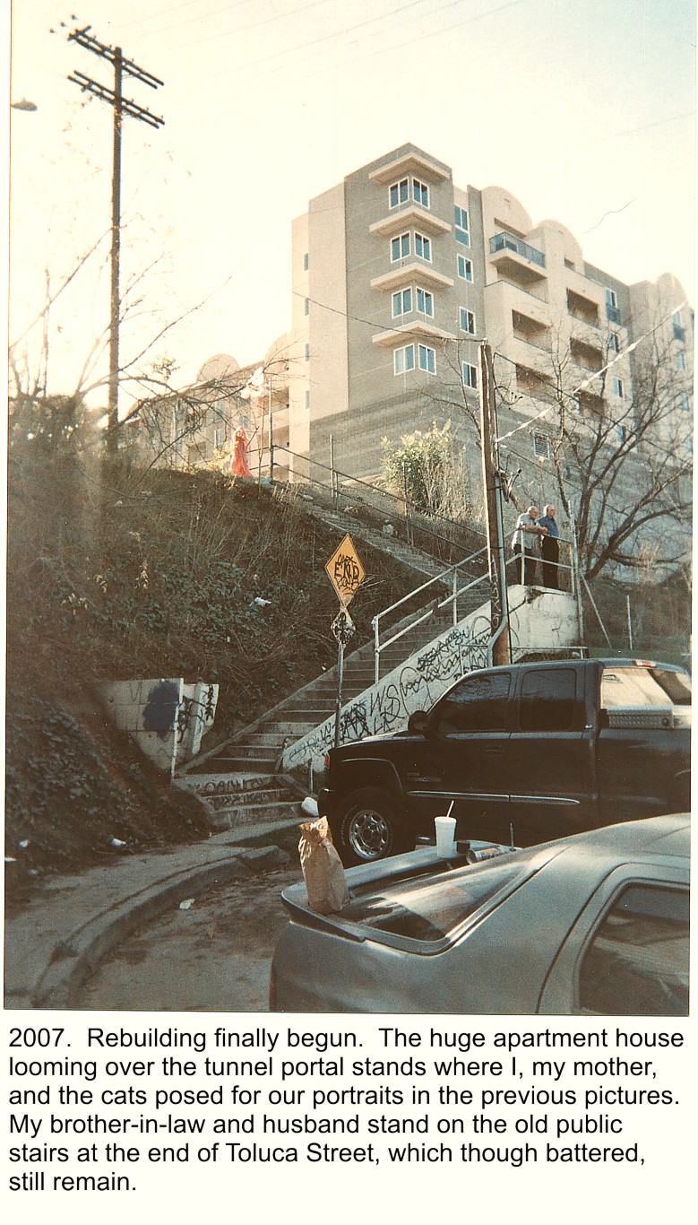 Construction begins 1