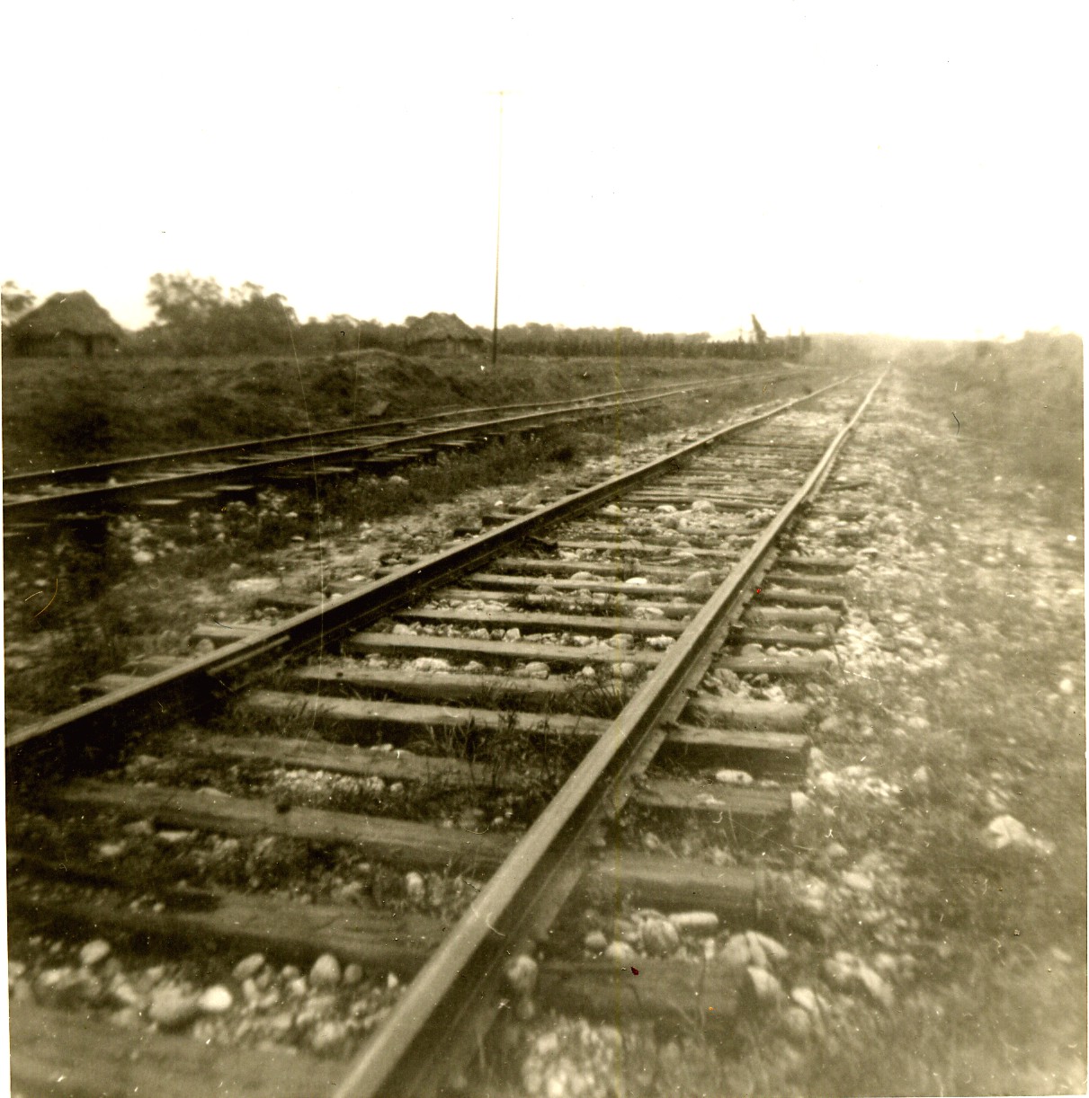 Tracks of Ferrocarril del Sureste