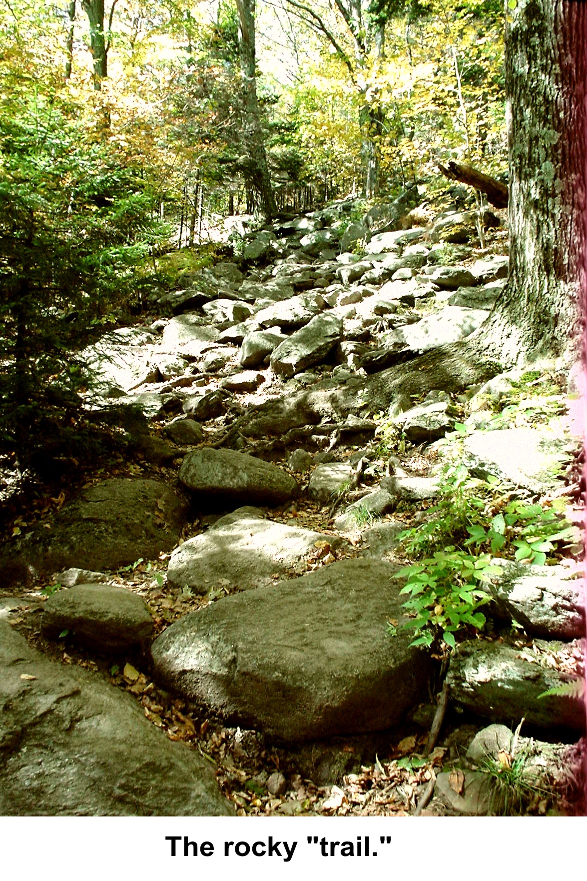 Monadnock