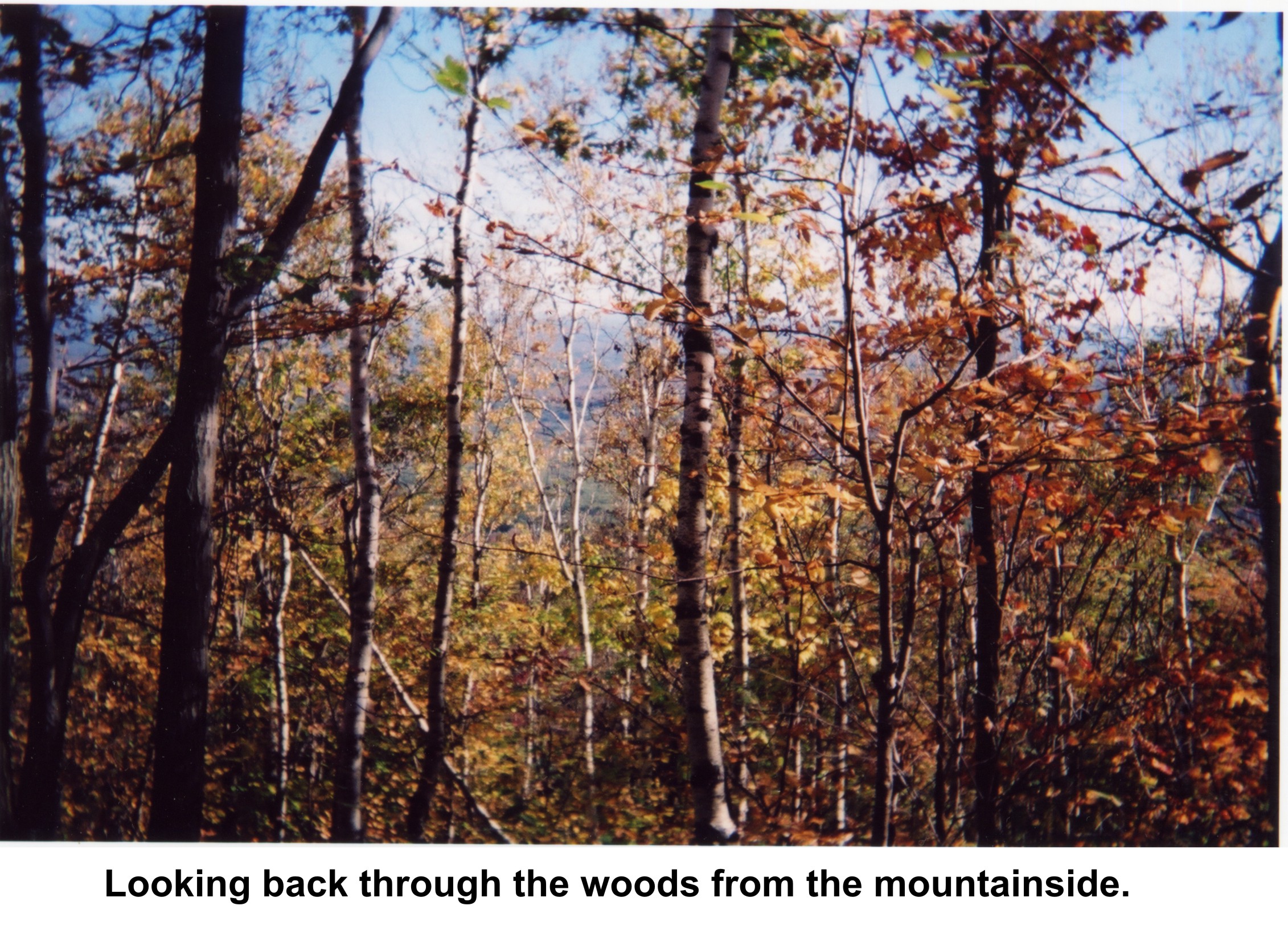 Monadnock
