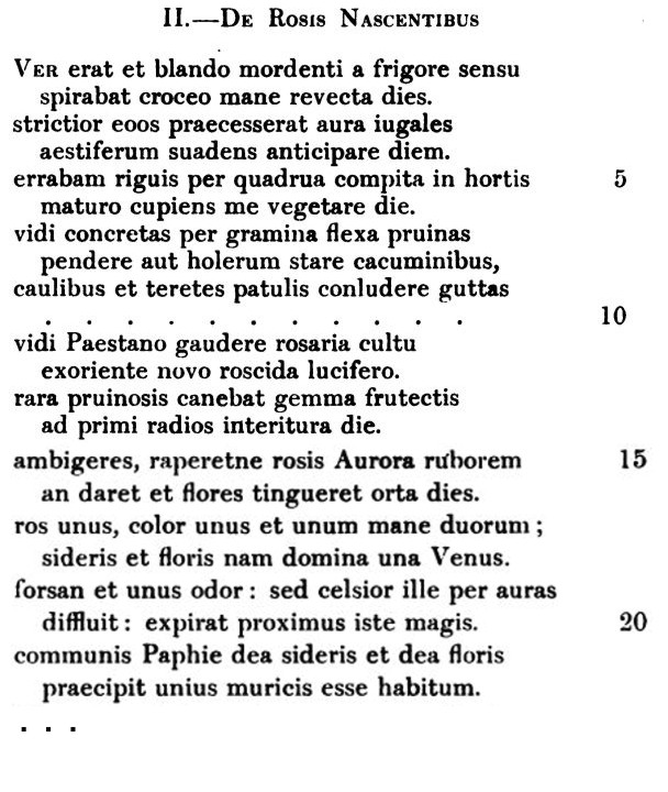 Rosis Nascentibus 1-22